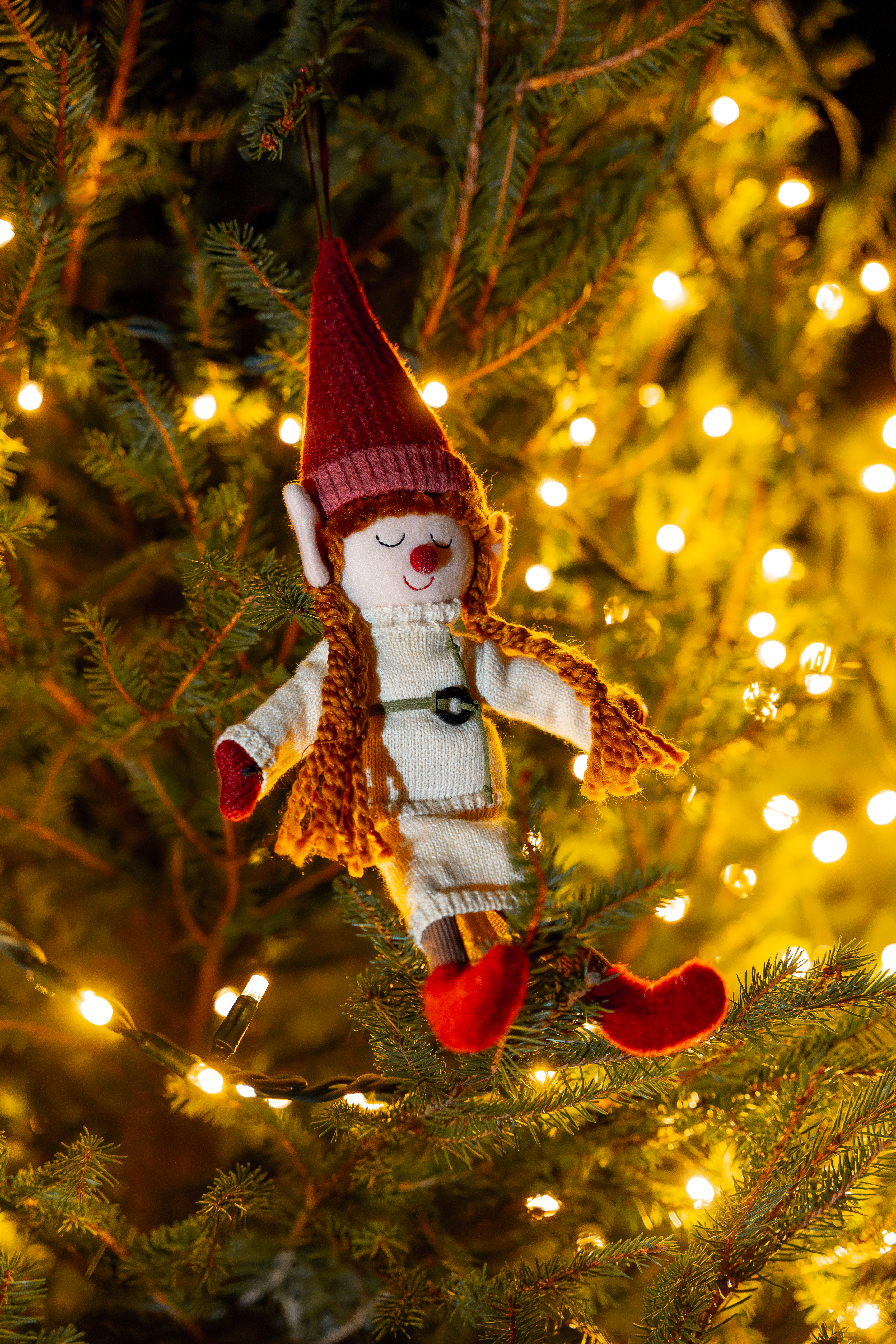 Vivero ANN - Instalaciones